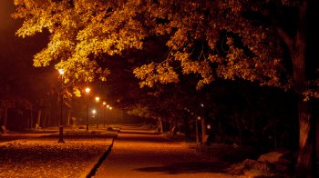 У Стебнику дві ліцеїстки побили 15-річну дівчину через образи матерів