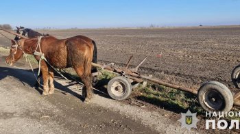 У Шептицькому районі перекинулася підвода: загинув 60-річний водій