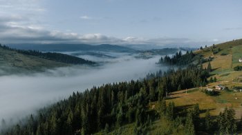 Блогер показав кардинальне перевтілення оселі в Карпатах