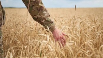 У цьому році Львівщина виділить 3 мільйони гривень на програму компенсацій для фермерів-ветеранів