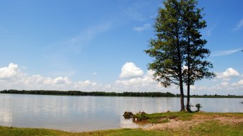 На Львівщині судили підприємство за змову на тендері по будівництву штучного озера