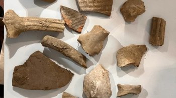 Прикордонники розкопали давньоримське поселення на Херсонщині