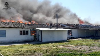 Пожежа на птахофермі. Фото - ДСНС