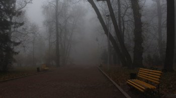 Туман та ожеледиця: якою буде погода на Львівщині на 22 грудня