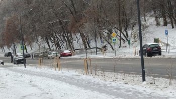 Крижаний дощ у Львові: містяни масово скаржаться на повалені дерева на вулицях міста