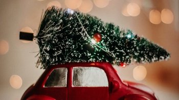 Чи встановлюватимуть новорічну ялинку у Бориславі: відповідь міськради