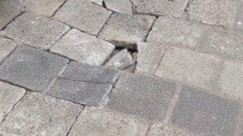 У Львові на Кульпарківській скаржаться на незадовільний стан тротуарів (фото)