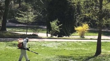 Львів’ян закликають не відвідувати парки через обробку зелених зон від кліщів