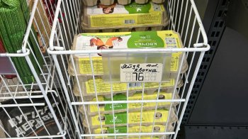 Ціна на яйця у львівському магазині