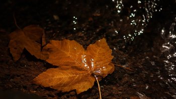 Синоптики попереджають про погіршення погоди на Львівщині