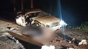 На Стрийщині у зіткненні авто з деревом загинув пасажир