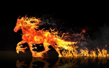 2026 – рік Червоного Вогняного Коня: характер, щасливі кольори та передбачення