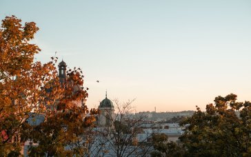Календар свят на вересень 2026: скільки вихідних матимуть українці та важливі дати