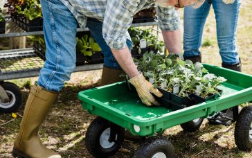 Посівний календар на березень 2026 року: