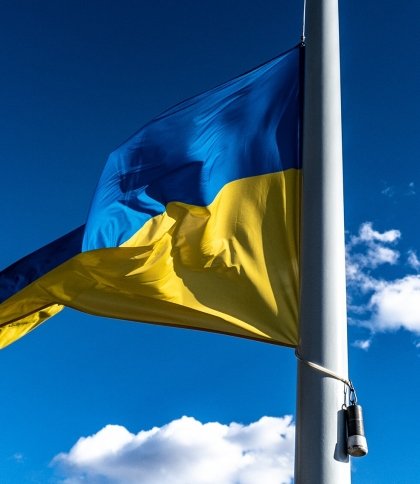 У Дрогобичі на День вишиванки розгорнули кількаметровий прапор (відео)