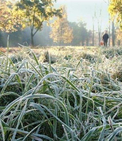 17 жовтня на Львівщині синоптики прогнозують сильні заморозки та туман