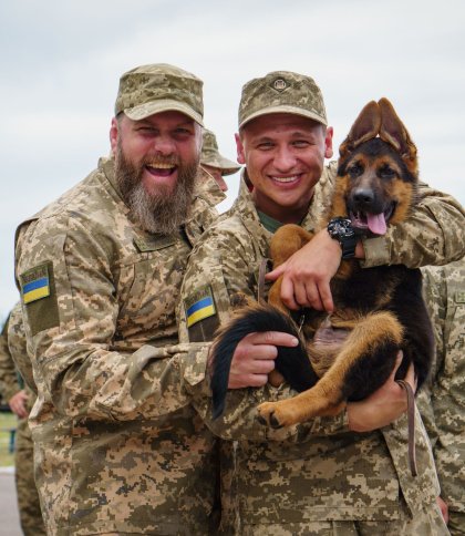 серіал прикордонники