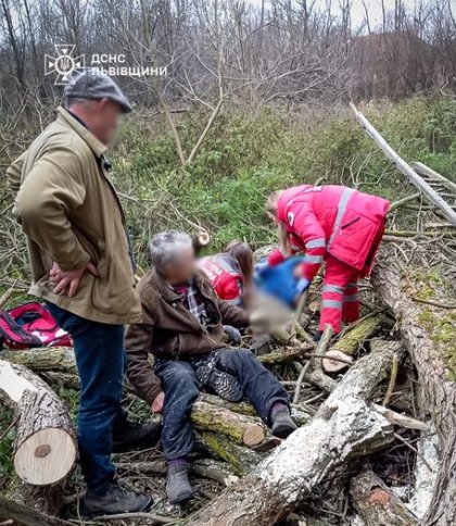 На Львівщині зрізане дерево впало на батька з сином