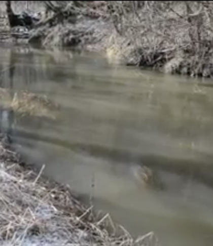 Розшукуваного впродовж 10 днів чоловіка виявили у річці на Львівщині