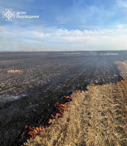 За два дні на Львівщині згоріли майже сім га поля