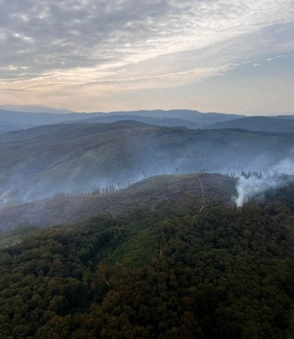 На Закарпатті третю добу намагаються ліквідувати масштабну лісову пожежу: залучили авіацію