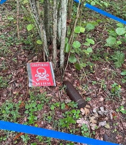 У Яворівському районі знайшли застарілі боєприпаси часів Другої світової війни