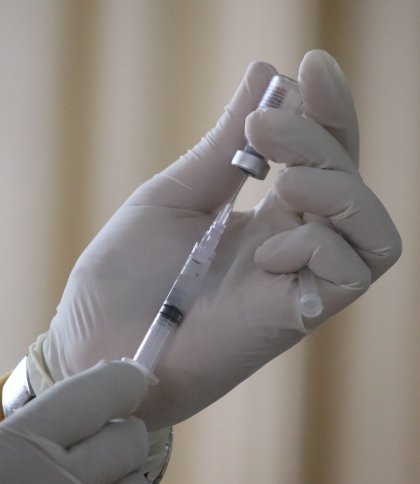 На Яворівщині виявили сказ: у кількох селах 15 травня проведуть вакцинацію