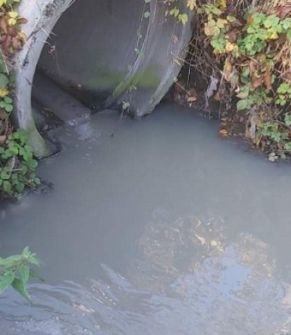 На Львівщині підприємство-забруднювач змушують компенсувати завдані збитки