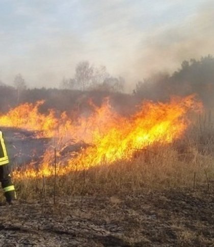 5 навмисних підпалів сухостою ліквідували надзвичайники Львівщини цієї доби