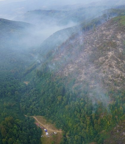 На Закарпатті рятувальники ліквідували масштабну лісову пожежу