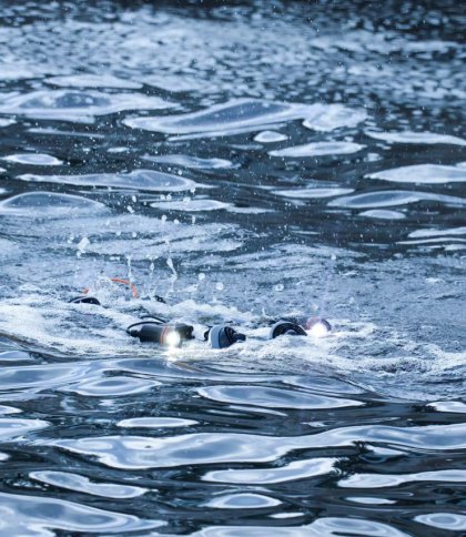 У водоймі на Яворівщині знайшли тіло потопельника