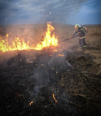На Львівщині палії сухостою знищили 8 гектарів ґрунту