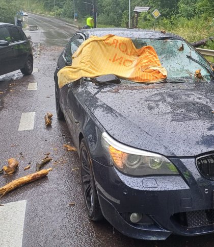 Біля Львова на BMW впало дерево: постраждала 17-річна дівчина