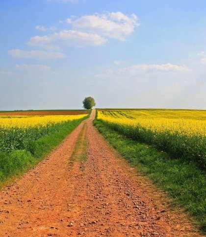 Хмарно і без опадів: як розпочнеться тиждень на Львівщині