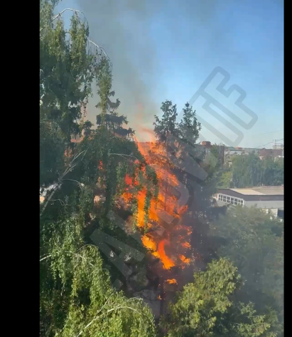 Пожежа у Львові на вулиці Заводській: горять дерева поблизу заводу