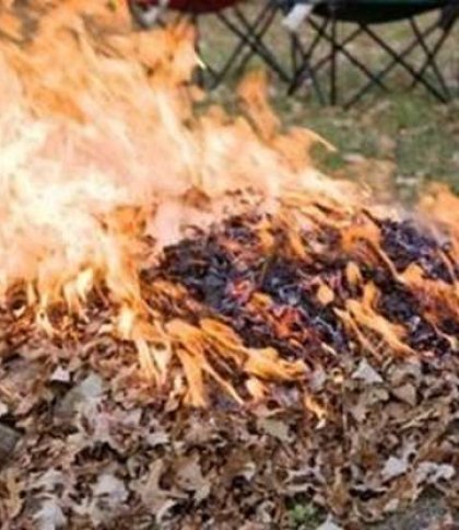 128 мешканців області оштрафували за спалення сухої трави