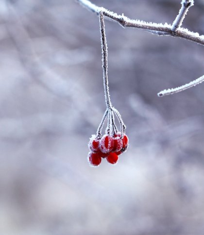 На Львівщині прогнозують 13-градусний мороз і ожеледицю на дорогах