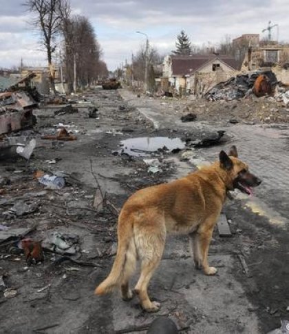 Понад 200 осіб вважаються зниклими безвісти на Київщині – поліція