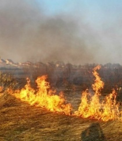 На Львівщині порушники продовжують палити суху траву