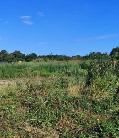 У Львівській громаді на аукціоні продали земельні ділянки за 41,5 млн грн