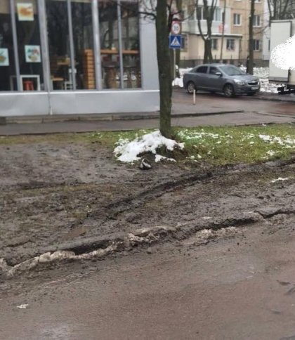 Глибокі колії в болоті: львів’яни скаржаться на занедбаний «газон» на вулиці Володимира Великого