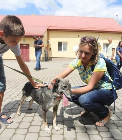 Біля Львова будують новий притулок для тварин