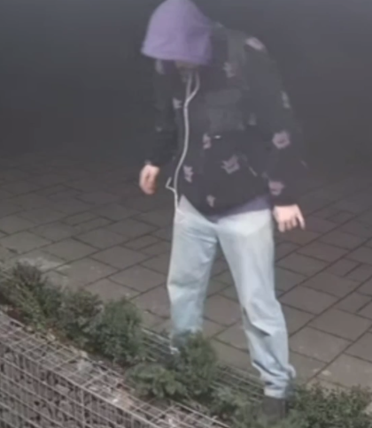 Камери зафіксували вандала, який понищив клумбу біля Університету Unbroken: відео