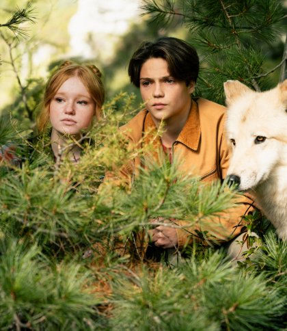 Фентезі-пригода «Хранителі лісу 2»