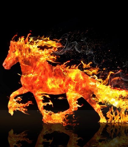 2026 – рік Червоного Вогняного Коня: характер, щасливі кольори та передбачення