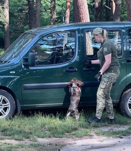 На Львівщині 80 кінологів та їхні собаки складали іспити: історії