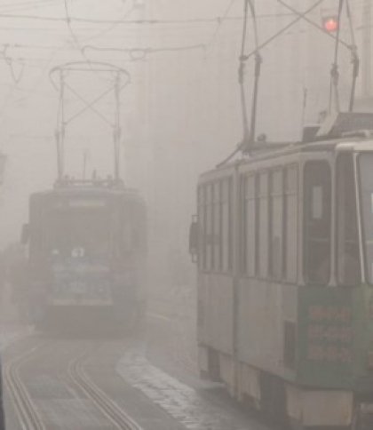 На Львівщині 31 травня очікується туман та грози