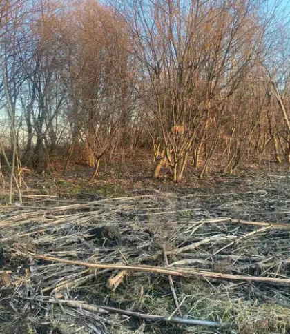 емлю під промисловість біля Львова купили за 5,4 млн грн