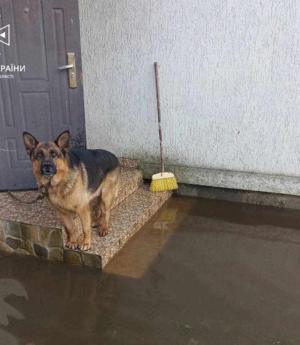 У Дрогобичі продовжують викачувати воду після негоди (фото)