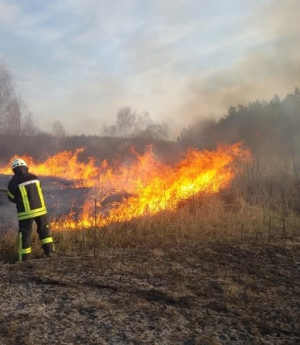 На Львівщині продовжують спалювати суху траву, рятувальники просять зупинитись